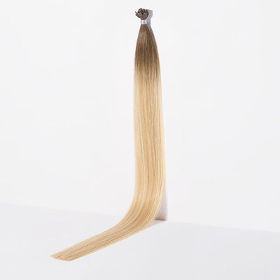 Aspen Blonde / 18