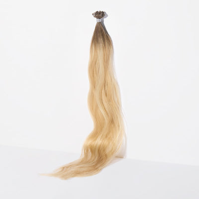 Aspen Blonde / 18