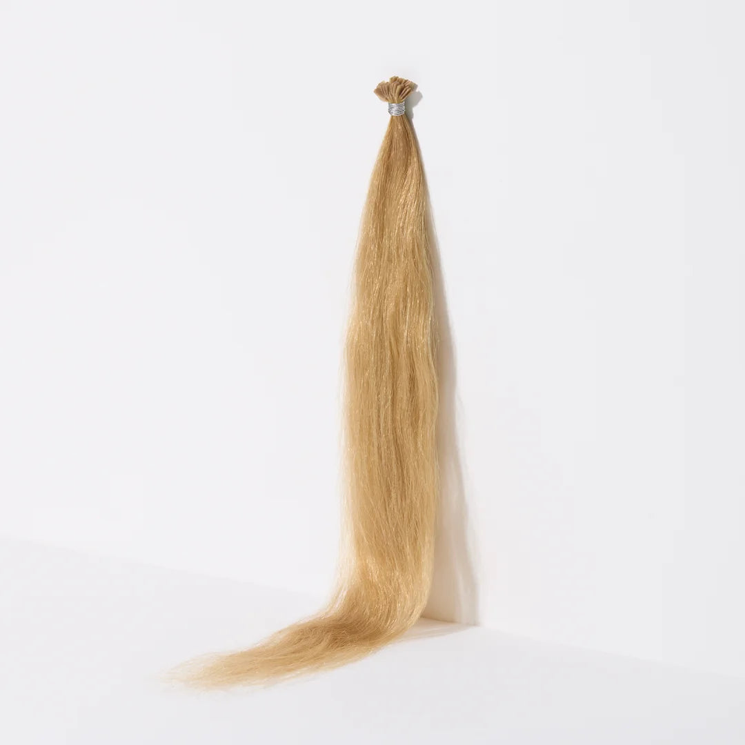 Coco Beach (P24/27) / 20