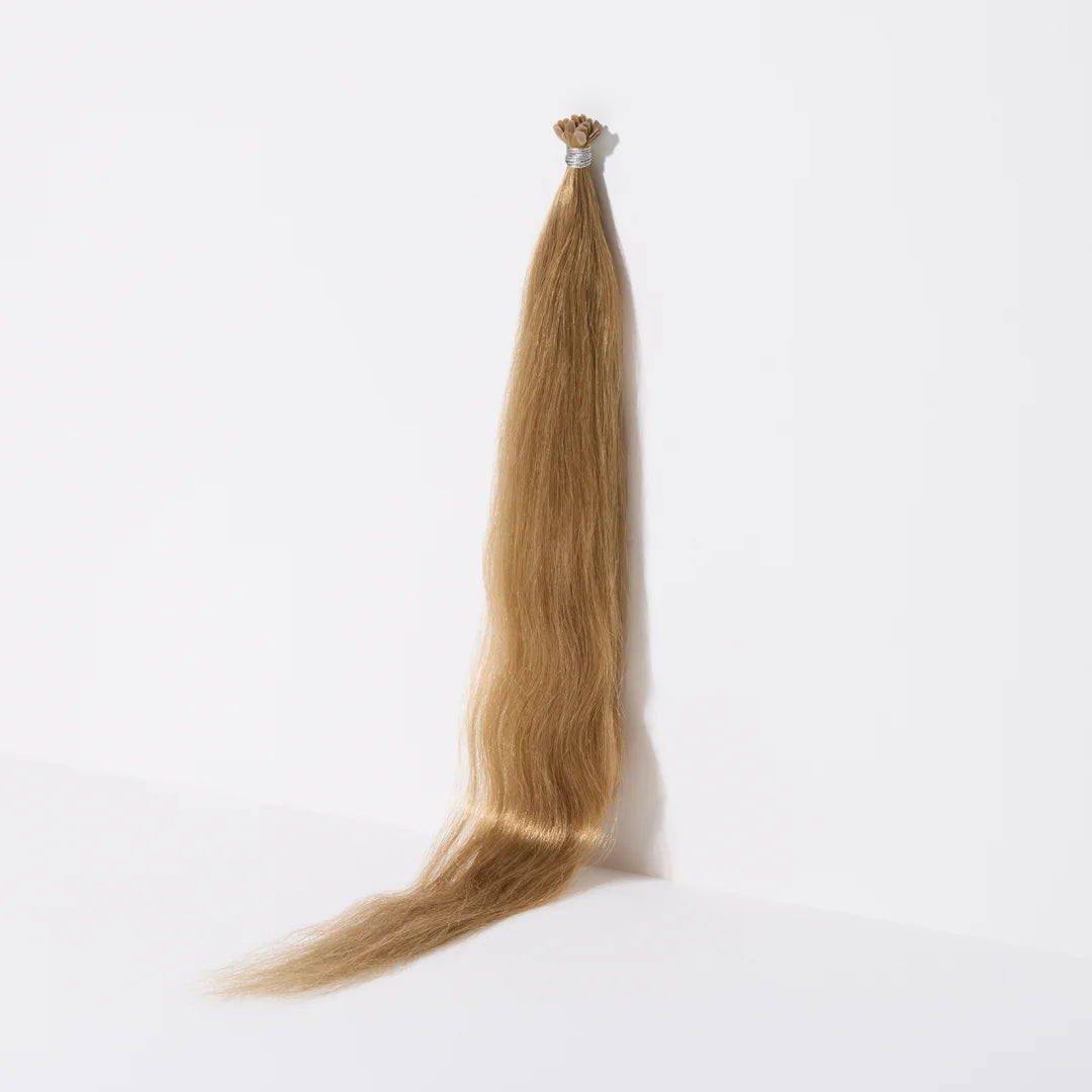 Frenchman's Cove (8A) / 20