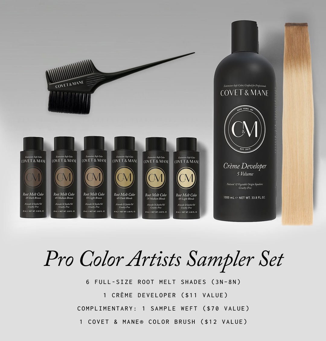 Virtual Classroom LIVE - Pro Color Artists Sampler Set