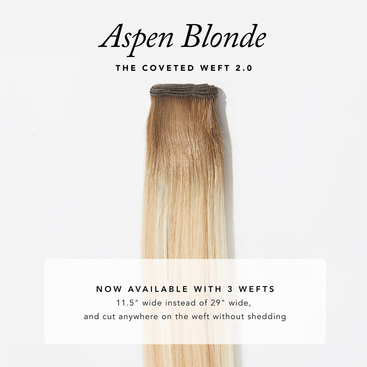 Aspen Blonde / 18