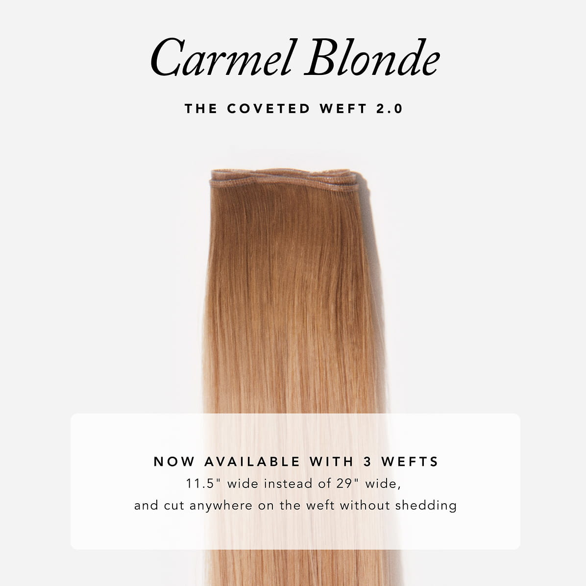 Carmel Blonde / 18